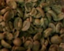 gröna kaffebönor